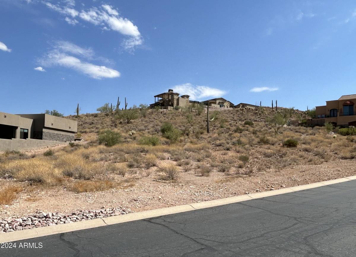 Gold Canyon, AZ 85118,4121 S CAMINO DE VIDA -- #114