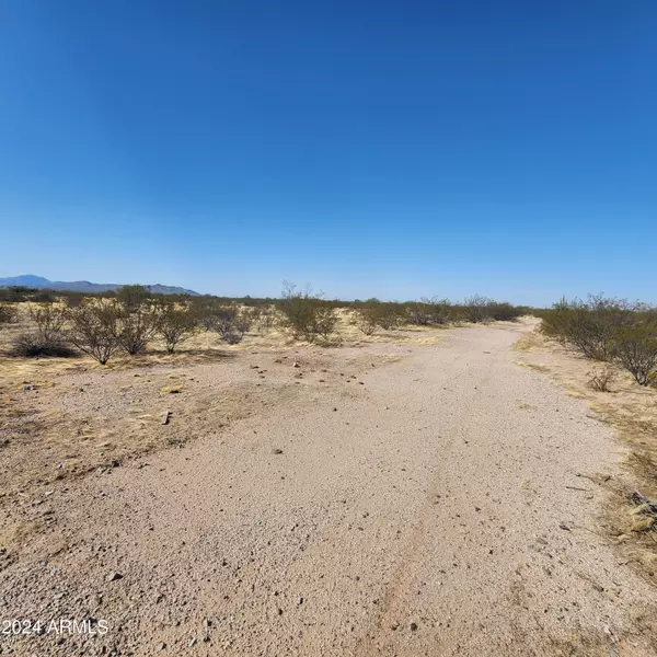 Florence, AZ 85132,0 N Deadmans Gulch Rd -- #-