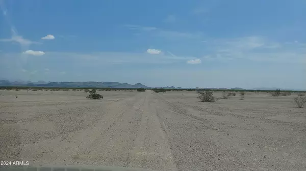 Salome, AZ 85348,10000 N Vicksburg Rd and I-10 Road #-