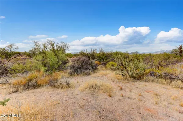 Scottsdale, AZ 85262,N 160TH Street #-