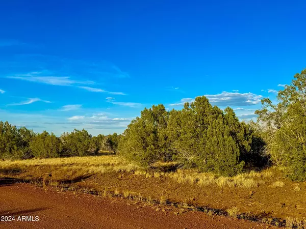 Ash Fork, AZ 86320,2646 N Denny Drive #841