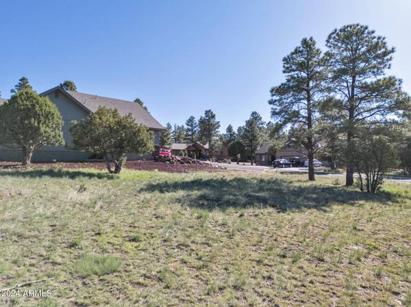 Williams, AZ 86046,263 ROYAL TROON Drive #85