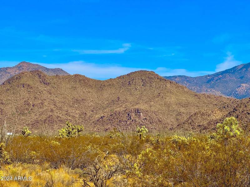 E Fireside Dr 39.87 Acres -- #-, Yucca, AZ 86438