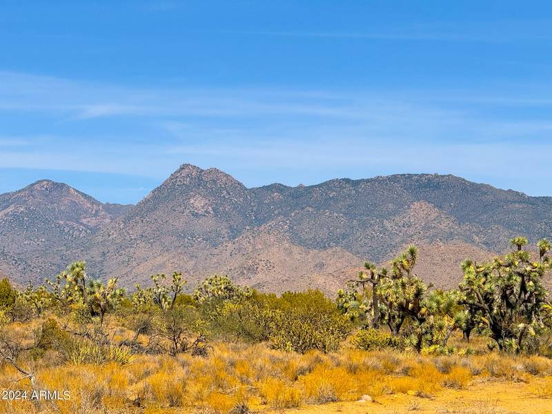 Alamo Rd 44.72 Acres -- #-, Yucca, AZ 86438