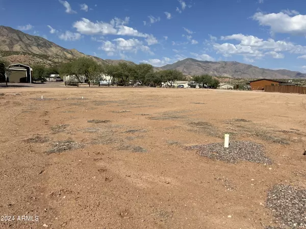 Tonto Basin, AZ 85553,79 W Buckshot Lane #-