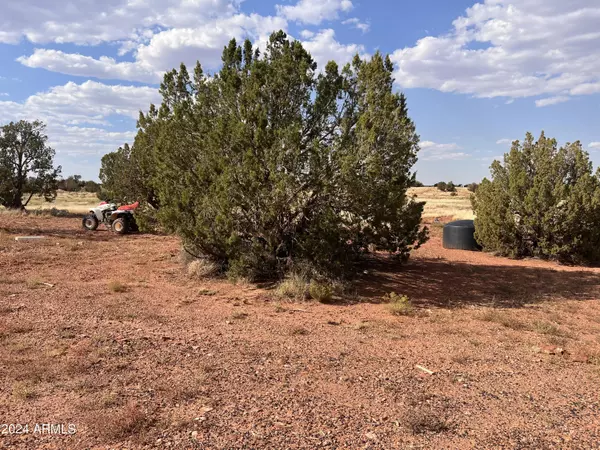 Heber, AZ 85928,5184 COYOTE Trail #-