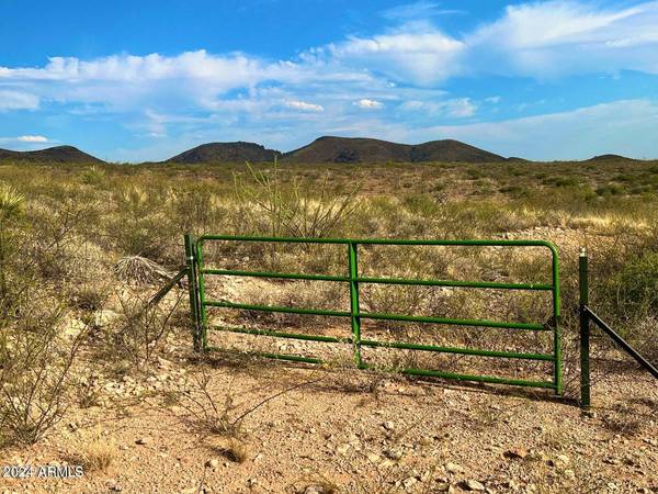 Douglas, AZ 85607,N Via Montelena Dr 37.64 Acres -- #-