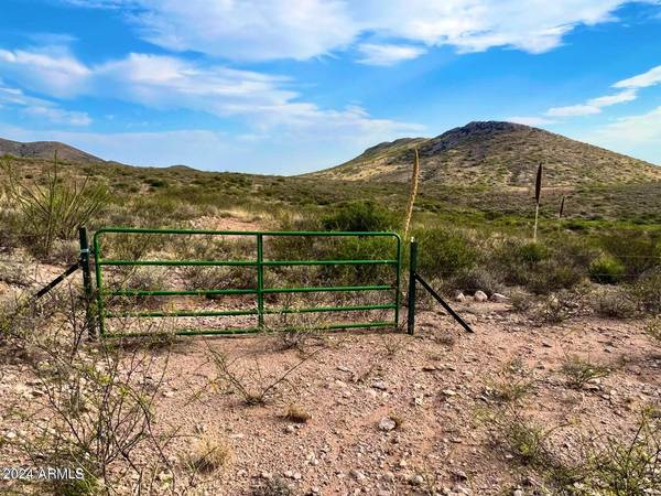 Douglas, AZ 85607,N Via Montelena Dr 37.64 Acres -- #-