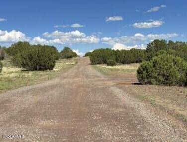 Show Low, AZ 85901,0 Grant Road #-