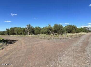 Show Low, AZ 85901,0 Grant Road #-