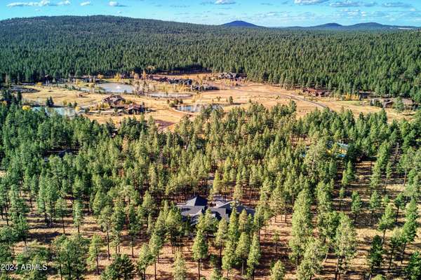 Pinetop, AZ 85935,9525 SIERRA SPRINGS Drive #27