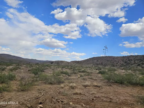 Douglas, AZ 85607,N College Peak Rd Lot 111 -- #111