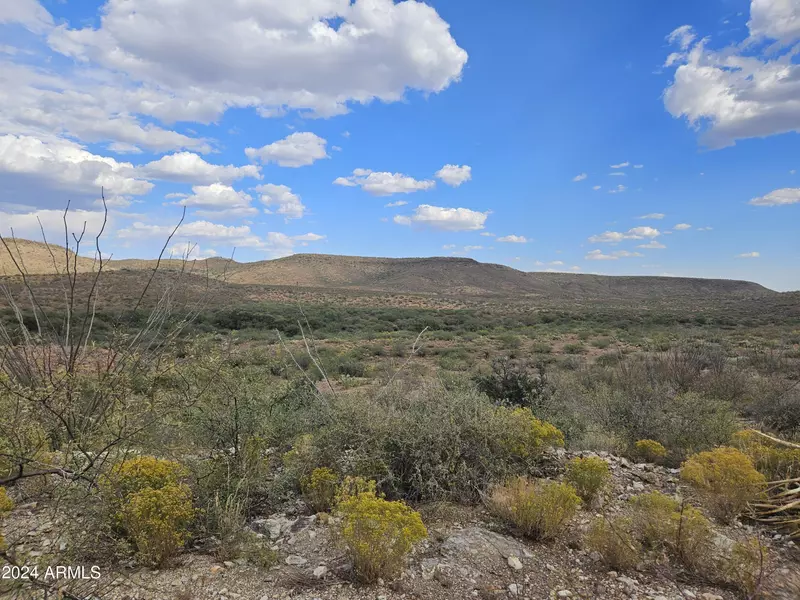 N PEDREGOSA RD LOT 12O -- #120, Douglas, AZ 85607