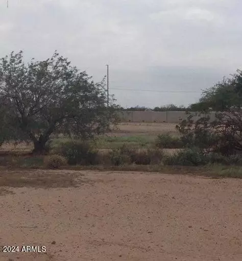 Wittmann, AZ 85361,30815 N 251ST Avenue #-