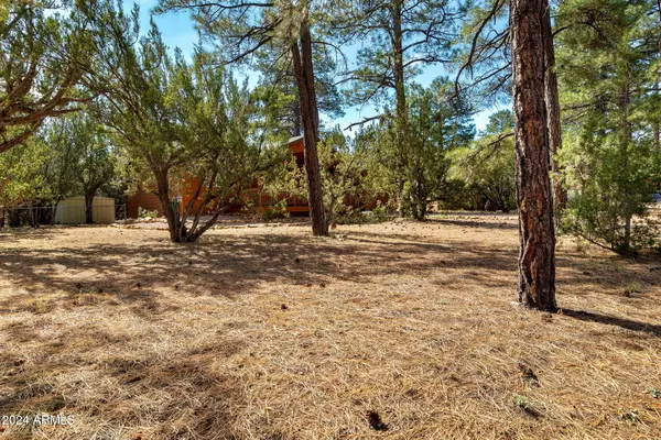 Overgaard, AZ 85933,1919 E TWIN PINES Trail