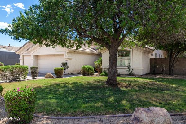 Scottsdale, AZ 85254,5203 E WALLACE Avenue