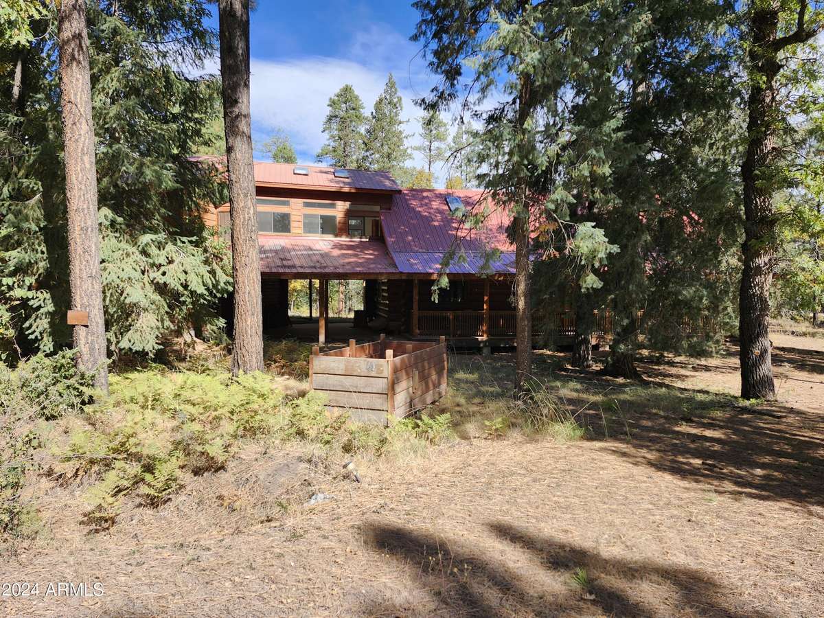 Alpine, AZ 85920,40 County Road 2066 --