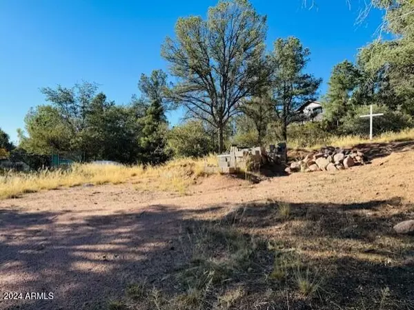 Payson, AZ 85541,604 N HIDEAWAY Circle #136