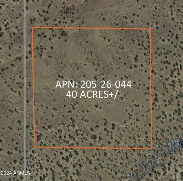 St Johns, AZ 85936,46 County Rd N7211 -- #-