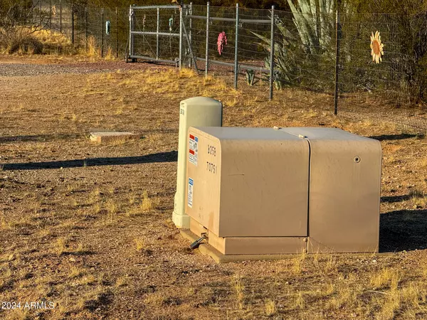 Marana, AZ 85658,S Cactus Garden Way 2.5 Acres -- #-