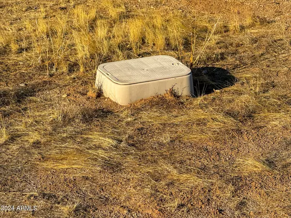 Marana, AZ 85658,S Cactus Garden Way 2.5 Acres -- #-