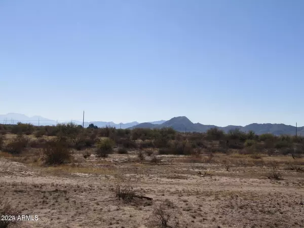 Maricopa, AZ 85139,53002 W PAPAGO Road #-