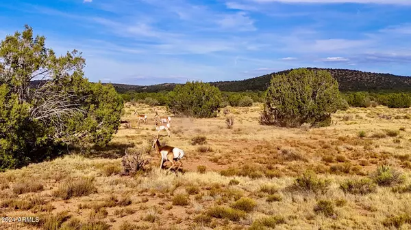 Seligman, AZ 86337,Sierra Verde Ranch 36 Acres -- #-