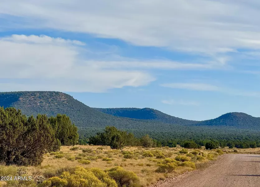 Sierra Verde Ranch 36 Acres -- #-, Seligman, AZ 86337