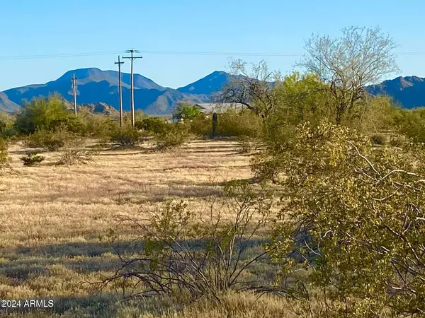 Maricopa, AZ 85139,0 W Century Rd. Lot C 1.51 Acres -- #-