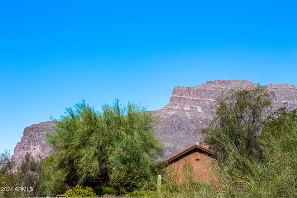 Gold Canyon, AZ 85118,6738 E LAS ANIMAS Trail