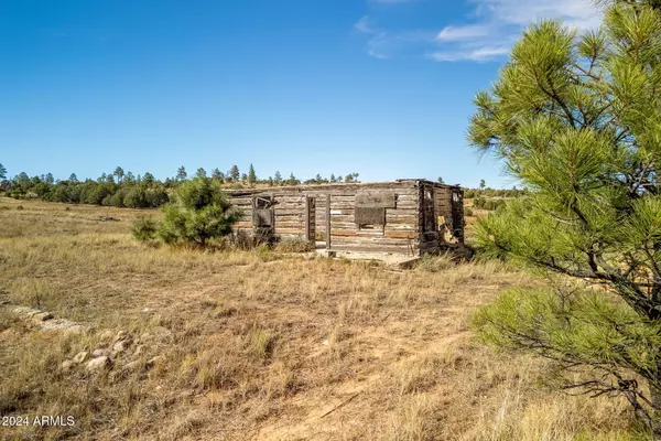 Pinedale, AZ 85934,5502 ROAD TO THE PAST -- #-