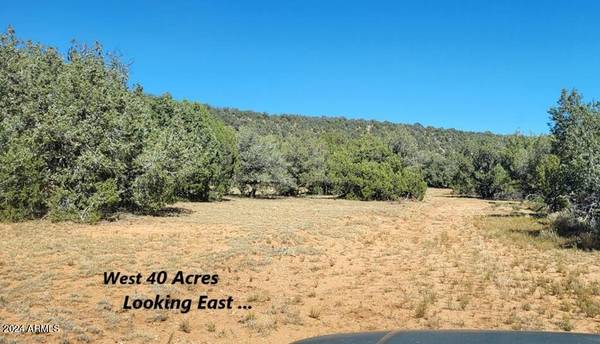 Williams, AZ 86046,899 Wolf Road #899,905&906