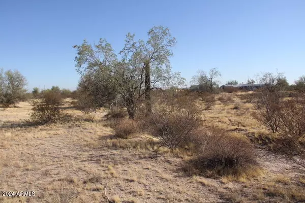 Maricopa, AZ 85139,51948 W Dune Shadow Road #'''_'''