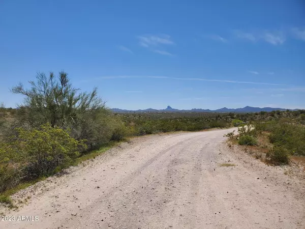 Wickenburg, AZ 85390,0 337th Ave   D/2 PARCEL -- #-