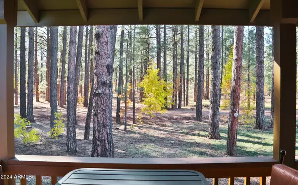 Pinetop, AZ 85935,131 Skyhook Road