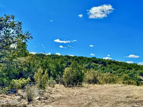 Conquistador Parkway 24.5 Acre -- #-, Seligman, AZ 86337