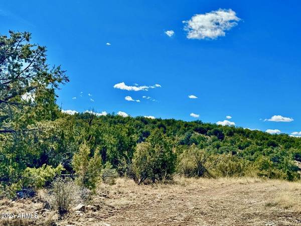 Conquistador Parkway 24.5 Acre -- #-, Seligman, AZ 86337