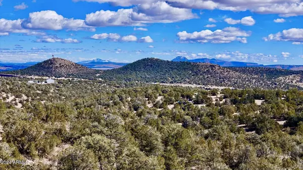 Seligman, AZ 86337,Conquistador Parkway 24.5 Acre -- #-