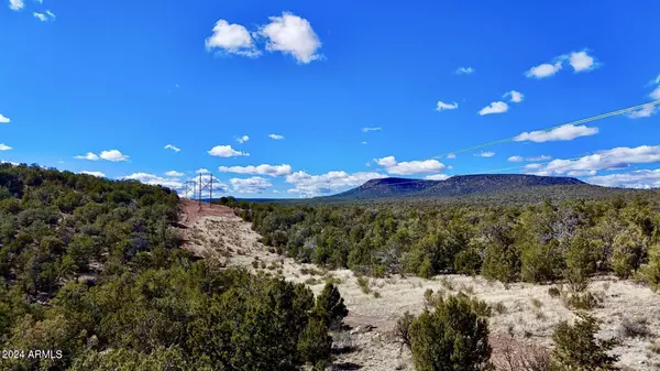 Seligman, AZ 86337,Conquistador Parkway 24.5 Acre -- #-