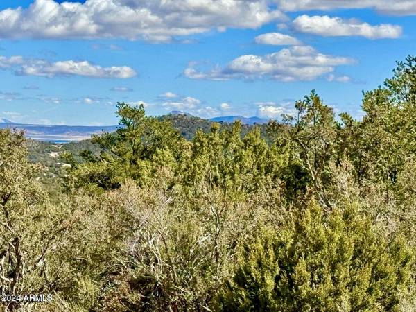 Seligman, AZ 86337,Conquistador Parkway 24.5 Acre -- #-