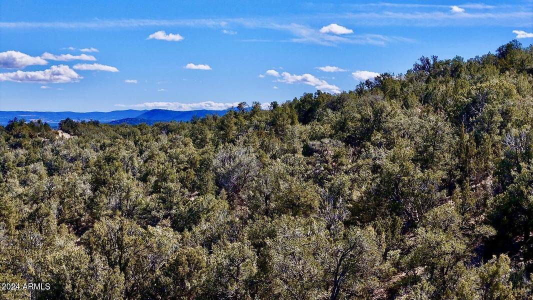 Conquistador Parkway 24.5 Acre -- #-, Seligman, AZ 86337