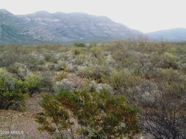 Tombstone, AZ 85638,S Dirksen Draw -- #E