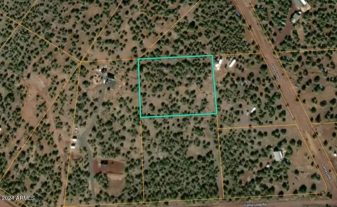 Ash Fork, AZ 86320,0 W Picacho Dr. -- #221