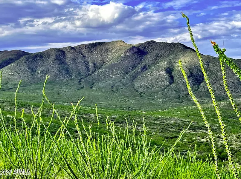 S Gold Gulch Road #5, Bisbee, AZ 85603