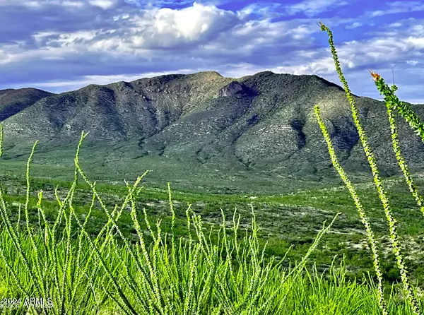 S Gold Gulch Road #5,  Bisbee,  AZ 85603