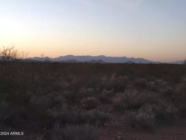 Tombstone, AZ 85638,S Dirksen Draw -- #C