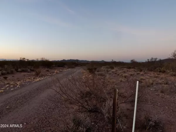 Tombstone, AZ 85638,S Dirksen Draw -- #C