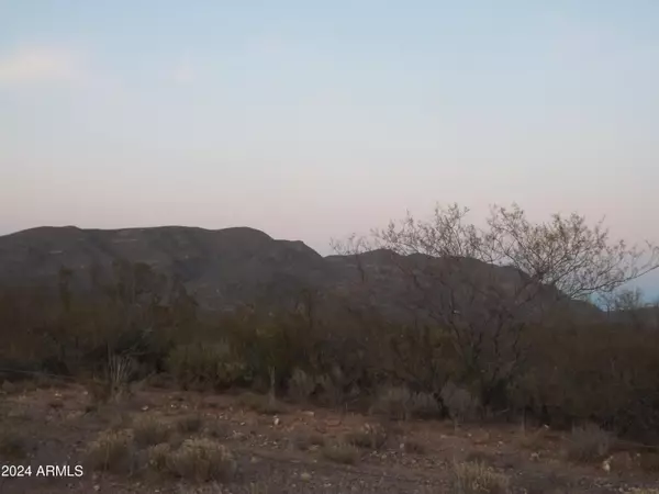 Tombstone, AZ 85638,S Dirksen Draw -- #C