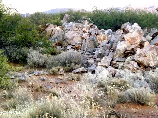 Tombstone, AZ 85638,S Dirksen Draw -- #D