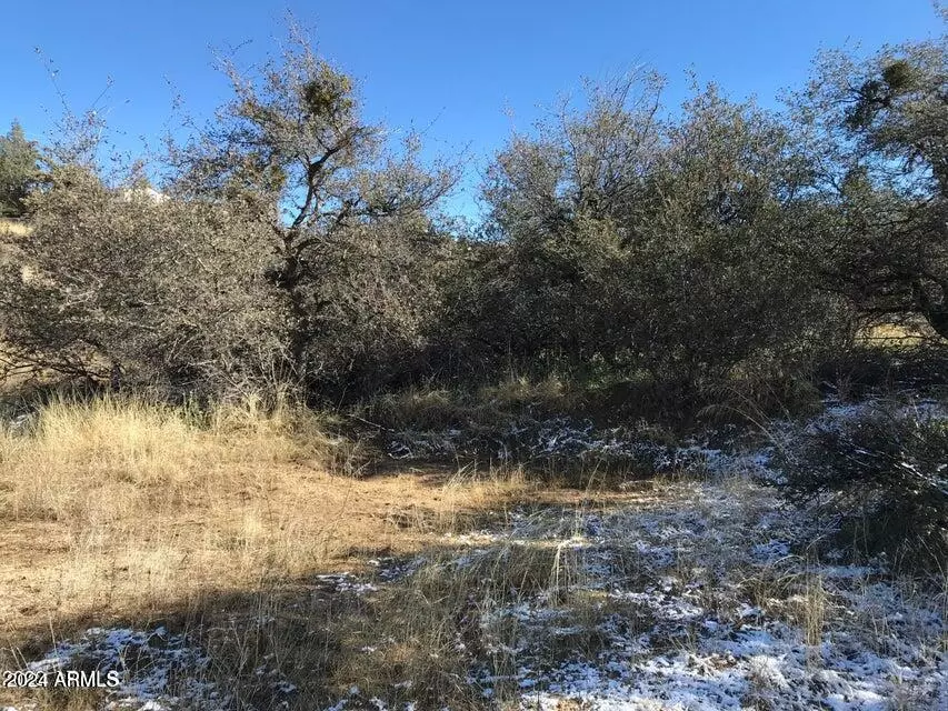 Peeples Valley, AZ 86332,18290 S Niblick Drive #66JT